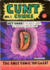 cunt-comics-1st-print-color.jpg
